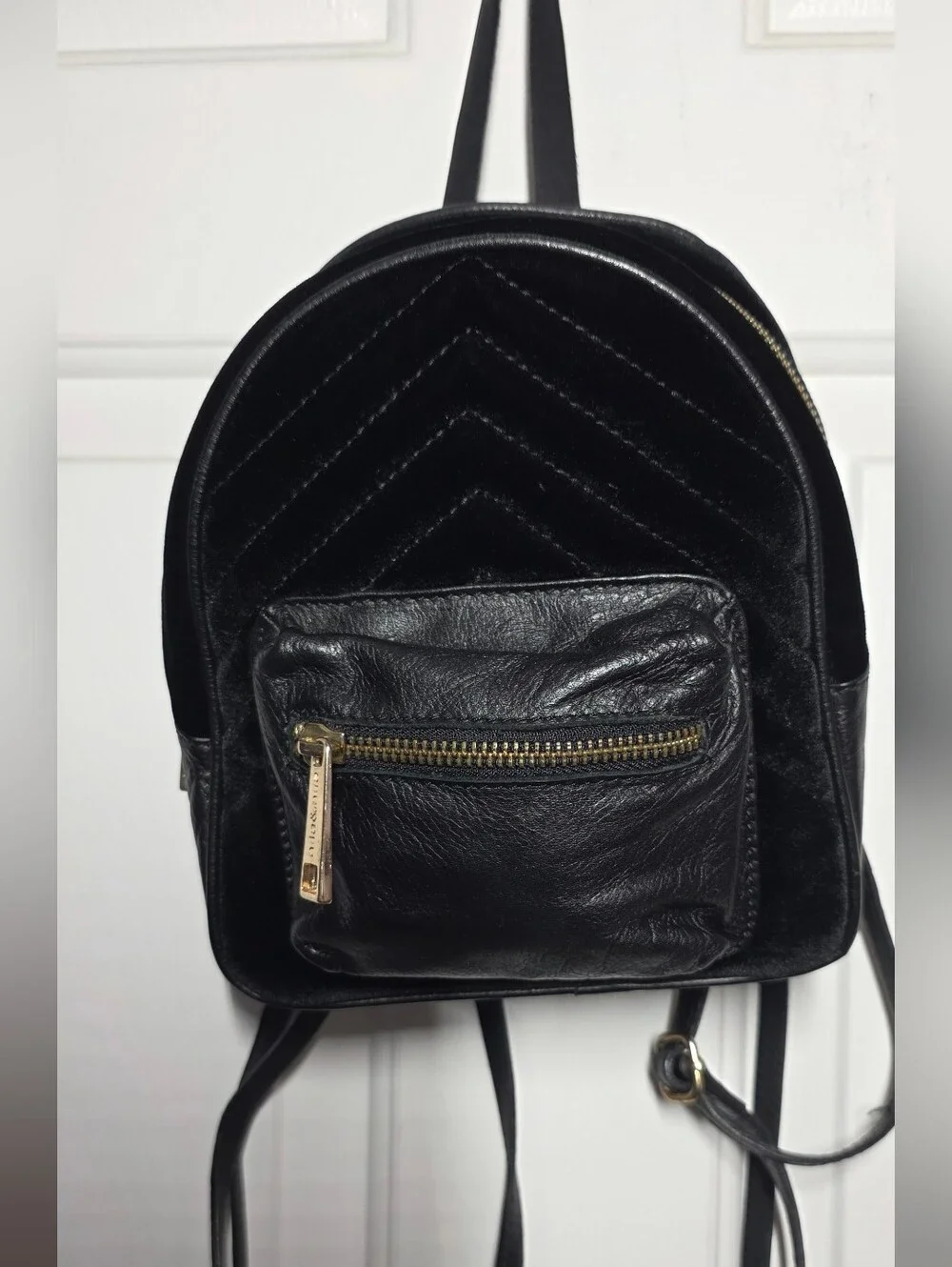 Designer Genuine Leather & Black Velvet Small Backpack